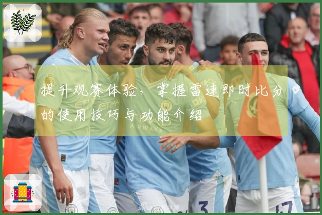 提升观赛体验，掌握雷速即时比分的使用技巧与功能介绍