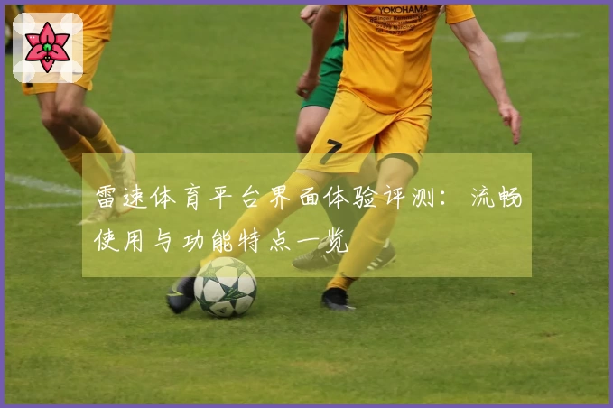 雷速体育平台界面体验评测：流畅使用与功能特点一览